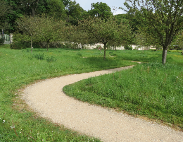 Gestion différenciée des espaces verts en ville : optimiser l’entretien et favoriser la biodiversité urbaine